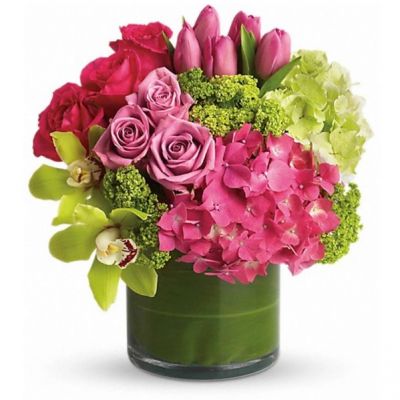 Upscale and uptown. This fantastic arrangement is a beauty and a half to behold. Overflowing with gorgeous blossoms and delivered in a leaf-lined cylinder vase, it's truly a floral fantasy. Green and pink hydrangeas, green cymbidium orchids, hot pink and lavender roses, tulips and more are beautifully arranged in a large clear glass cylinder vase. Approximately 13" W x 14" H