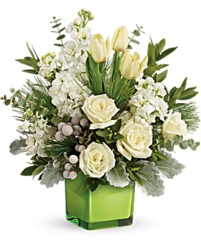 <p>A stylish pop of winter style, this snow-white bouquet in a fresh green cube dresses up any occasion!<br />
White roses, tulips and stock with silver brunia are arranged with dusty miller, spiral eucalyptus, parvifolia eucalyptus, and white pine.</p>