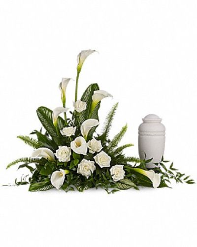 <div class="m-pdp-tabs-description">
<div id="mark-1" class="m-pdp-tabs-marketing-description">A calming portrait in ivory. Majestic calla lilies and stately white roses are framed by the lush leaves of aspidistra and calathea. Soft green sword fern adds to the soothing tones.</div>
</div>
<p id="arrngDescp">Large white calla lilies pair with white roses and lush greens that include soft, airy sword fern and glossy aspidistra. Please note: Arrangement does not include urn.</p>