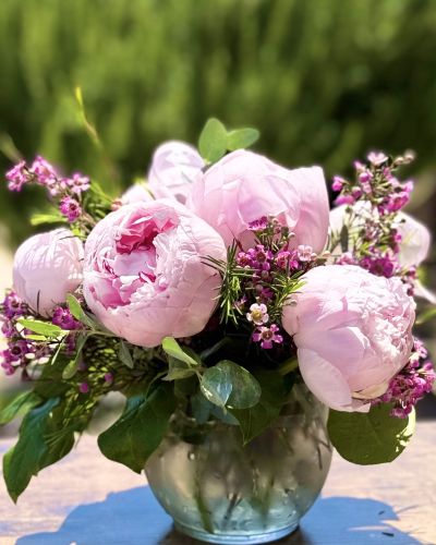 <p>five lush peony's in cube adorned with fresh greenery and complimenting filler flowers</p>